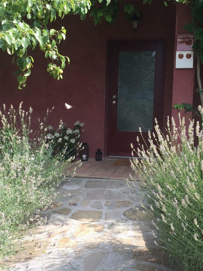 Apartma Vita Dobrovo Luaran gambar