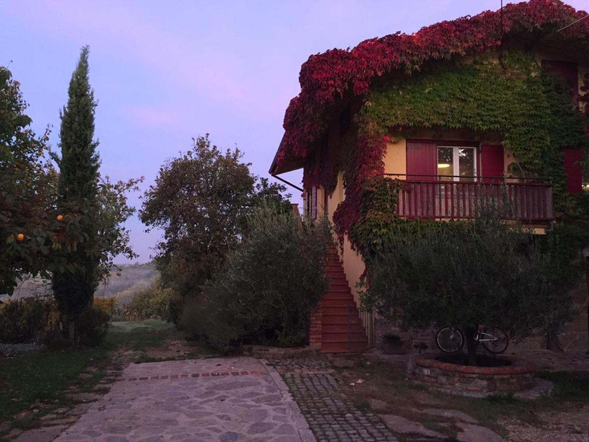 Apartma Vita Dobrovo Luaran gambar